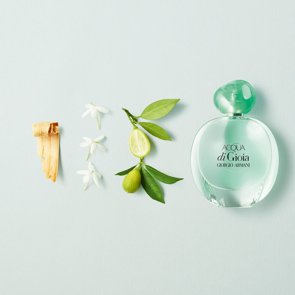Armani - Acqua Di Gioia - WOMEN'S FRAGRANCE - LUXURIUM