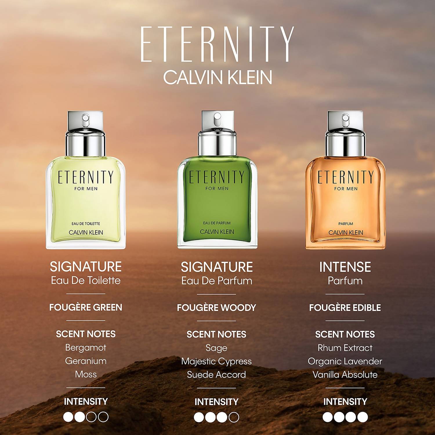 Calvin Klein Eternity For Men Parfum LUXURIUM