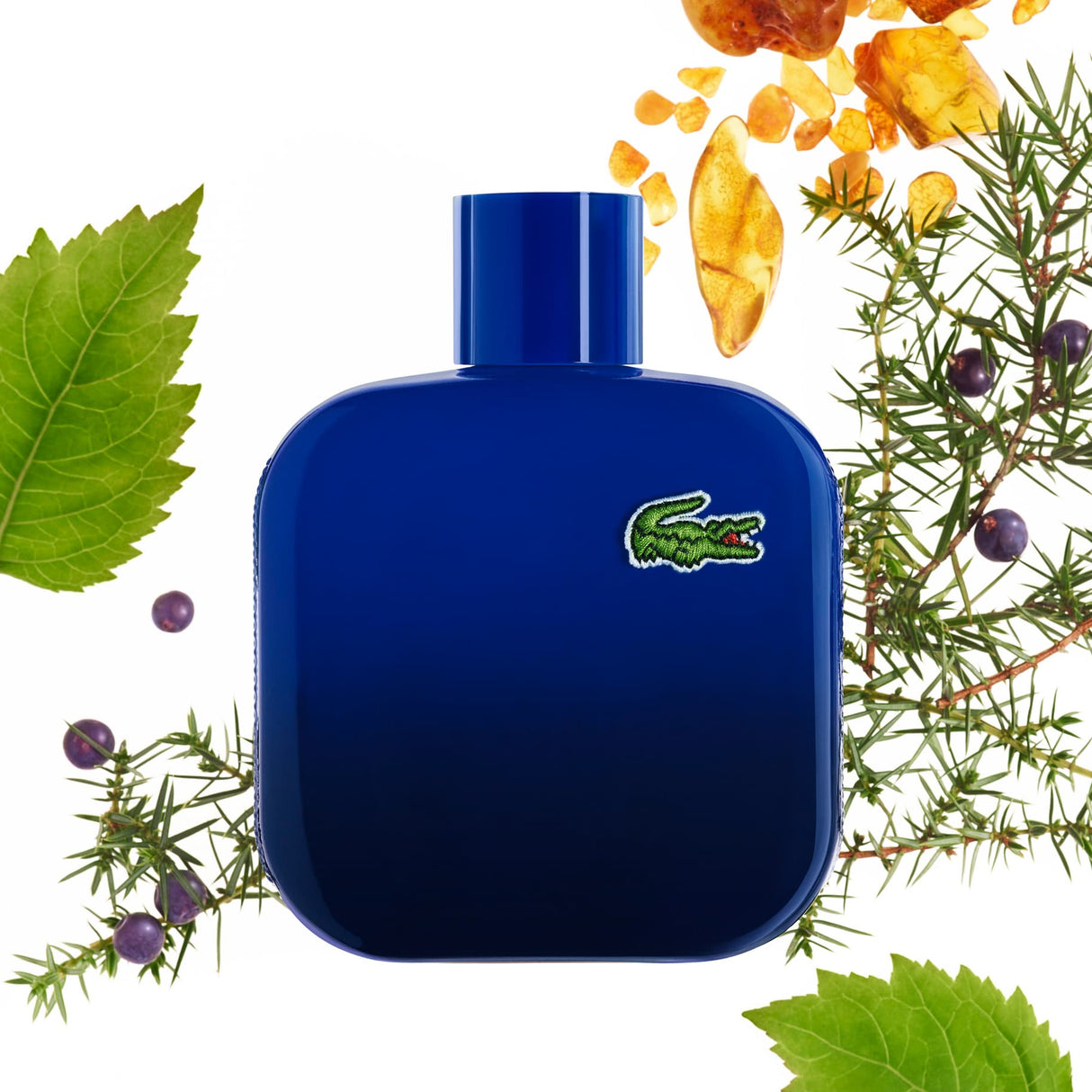 Lacoste - Lacoste L12.12 Magnetic Eau De Toilette - WOMEN'S FRAGRANCE - LUXURIUM